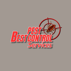 Best Pest Control Services