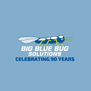 Big Blue Bug Solutions