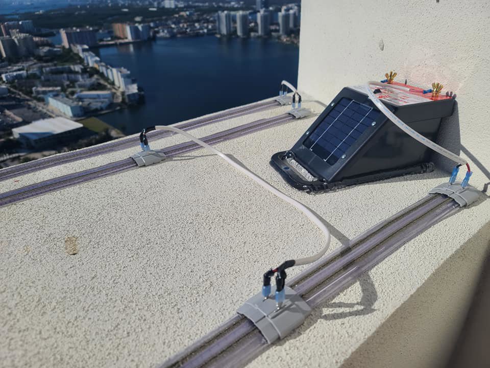 A bird deterrent system installed on a rooftop by Xceptional Wildlife Removal Jacksonville, FL, overlooking the city.