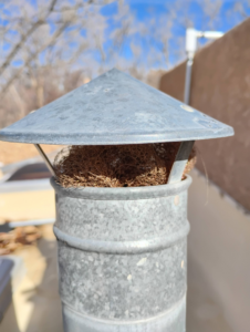 A bird's nest found inside a chimney or vent, requiring wildlife removal by Pestpuncherspcs in Rio Rancho, NM.