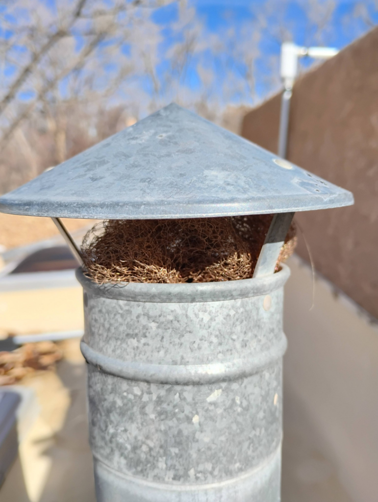 A bird's nest found inside a chimney or vent, requiring wildlife removal by Pestpuncherspcs in Rio Rancho, NM.
