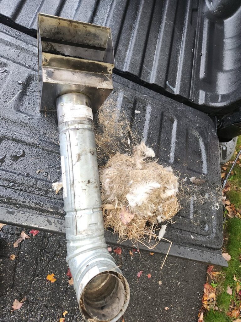 A large bird's nest and debris removed from a vent pipe during a chimney sweep service by Top Dog Hearth Repair & Maintenance, LLC in Worcester, MA