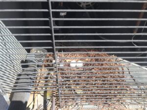 A bird's nest with eggs found inside an HVAC unit, a common wildlife problem addressed by Pigeon Control Phoenix AZ in Glendale, AZ.