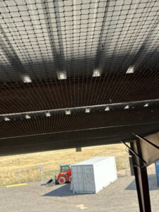 Bird and wildlife exclusion netting installed under a large metal roof by Montana Pest Solutions in Missoula, MT