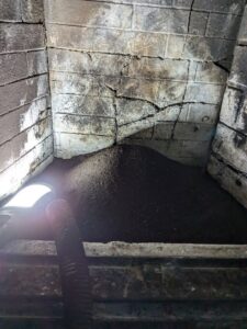 A bird's nest with eggs found inside a chimney flue, requiring professional removal by Chimney Mechanix of Indiana in Lafayette, IN.