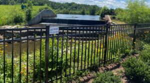 A black aluminum fence installed along a scenic waterfront area by Endurance Fence Solutions, LLC in Holly Springs, NC