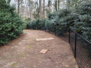 A newly installed black chain-link fence along a wooded property line by Almaraz & Sons LLC in Macon, GA.