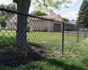 A black chain-link fence installed around a tree in a residential yard by Fence Masters Upstate SC in Greenville, SC