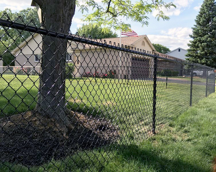 A black chain-link fence installed around a tree in a residential yard by Fence Masters Upstate SC in Greenville, SC