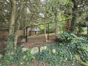 A newly installed black chain-link fence in a wooded backyard by Homestead Fence in Cumberland, RI.