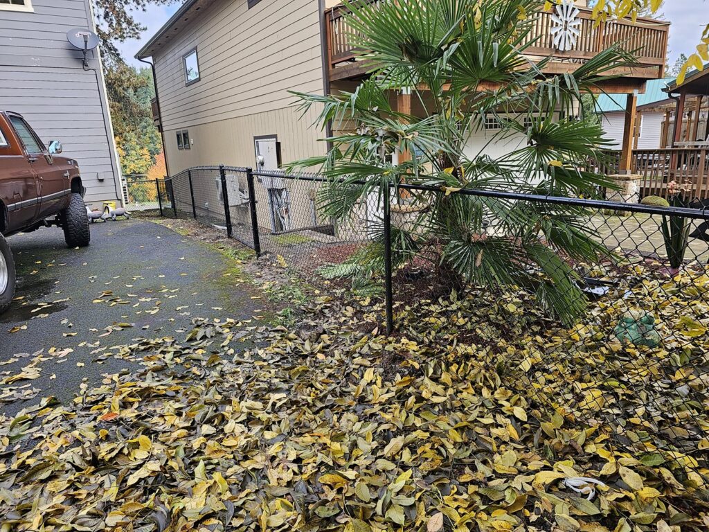 A black chain link fence running alongside a residential driveway, installed by PNW FENCE in Lewiston, ID.
