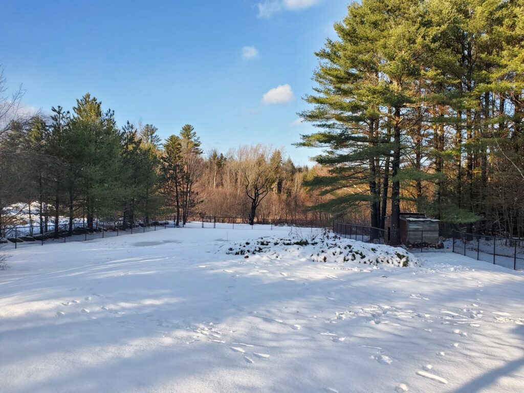 A black chain-link fence standing in a snow-covered field, installed by MH Fence in Weare, NH.