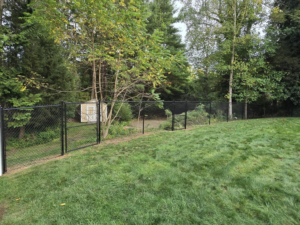 A black chain-link fence with a gate installed on a sloped grassy area by Homestead Fence in Cumberland, RI.
