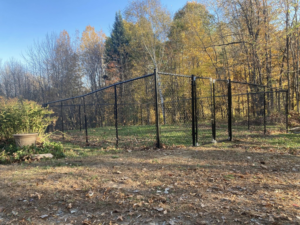 A black chain-link fence with multiple gates installed in a residential backyard by Profence in Leander, TX.