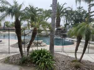 A professionally installed black mesh pool fence enclosing a swimming pool with palm trees by A Safe Pool Enclosures in Bakersfield, CA.