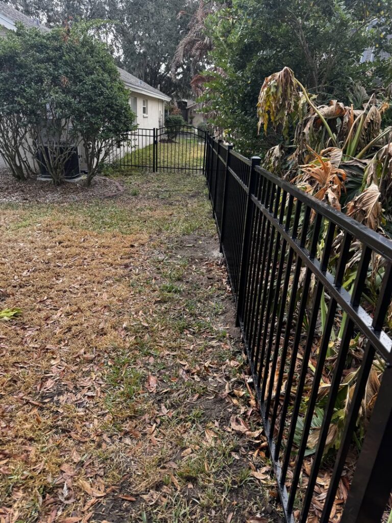 A black metal backyard fence with a small gate installed by Elite Fence and Outdoor of Tampa Bay in Tampa, FL.