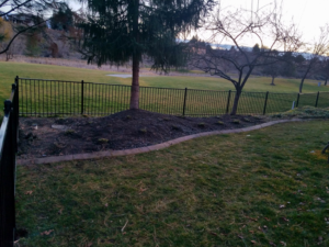 A black metal fence installed along a property line with a large tree by Double A Fence LLC in Boise, ID.