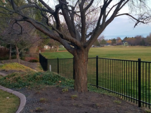 A black metal fence installed around a large tree, bordering an open field by Double A Fence LLC in Boise, ID.