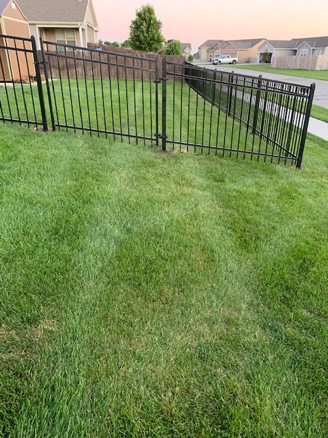 A black metal fence with a gate installed in a residential backyard by Mann Fence Co., Inc. in Olathe, KS.