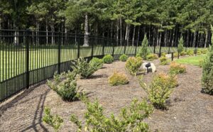 A black metal fence bordering a landscaped area by Creative Fence Designs in Columbus, GA.