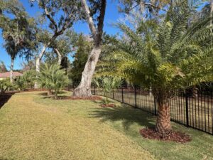 A black metal fence installed in a beautifully landscaped backyard with palm trees by Best Fence and Rail in Jacksonville, FL.