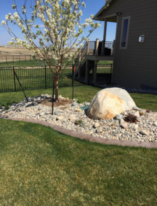 A black metal ornamental fence enclosing a backyard with landscaping by Highmark Landscaping in Gillette, WY.