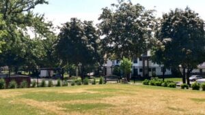 A black metal fence in a park-like setting with green grass and trees, installed by Mauer Company in Little Canada, MN.