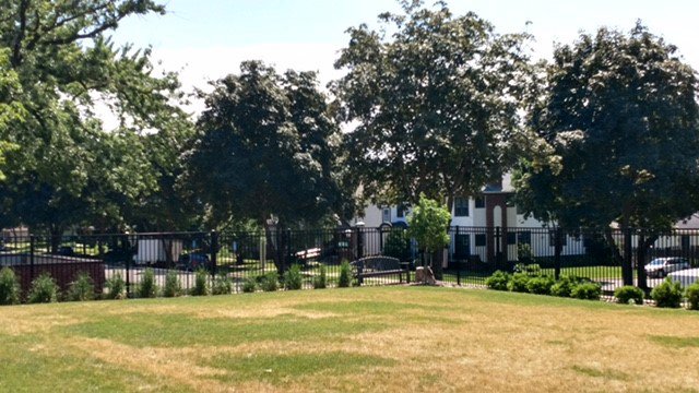 A black metal fence in a park-like setting with green grass and trees, installed by Mauer Company in Little Canada, MN.