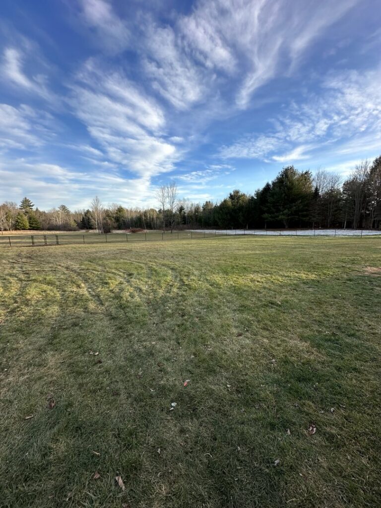A newly installed black metal fence surrounding a swimming pool area by Vision One Construction in Schenectady, NY