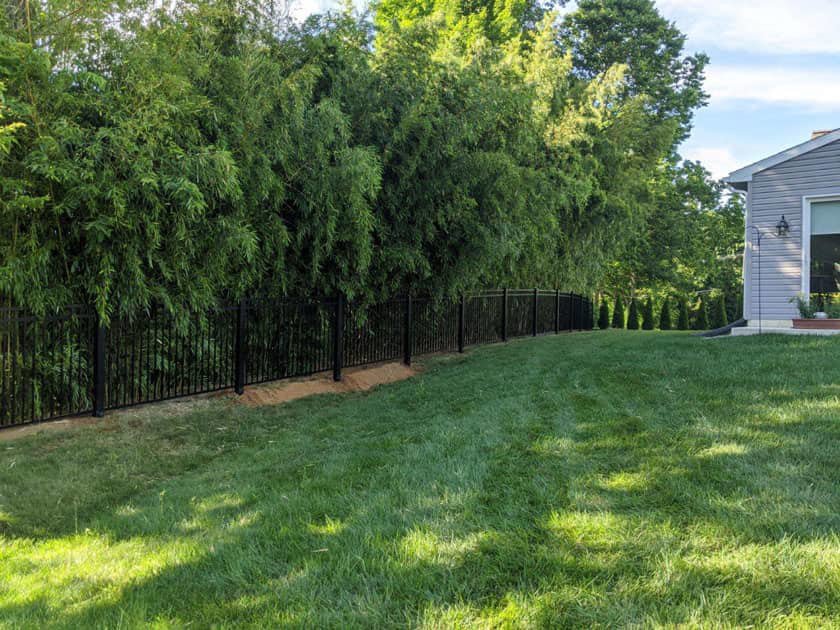 A black ornamental fence installed along a lush treeline by Hitz Fence in Lebanon, PA.