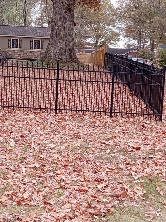 A black ornamental iron fence installed in a residential yard by Rice&Family Fencing LLC in Greenfield, TN.