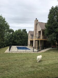 A black ornamental fence installed around a residential swimming pool for safety by Raatz Fence Company in Louisville, KY.