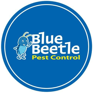 Blue Beetle Pest Control