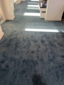 Cleaned blue carpet showing fresh cleaning patterns by Word of Mouth Cleaning Services in Houston, TX.