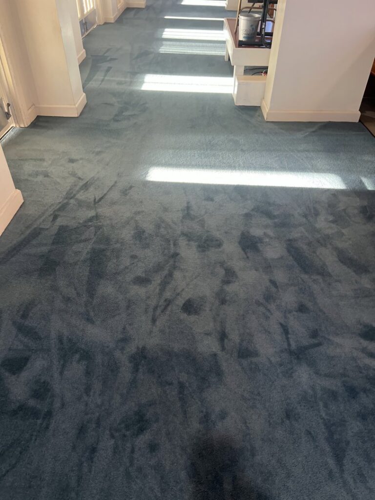 Cleaned blue carpet showing fresh cleaning patterns by Word of Mouth Cleaning Services in Houston, TX.