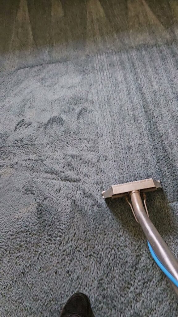 A carpet cleaning tool actively working on a blue carpet, showcasing services by Clean Technologies, LLC in Middletown, PA.