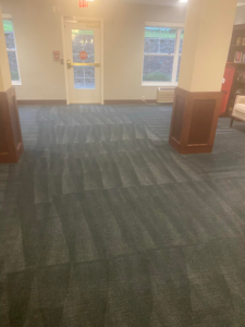 A spacious room with a freshly cleaned blue-grey carpet, showing professional lines from Agwa's carpet core in Minneapolis, MN.