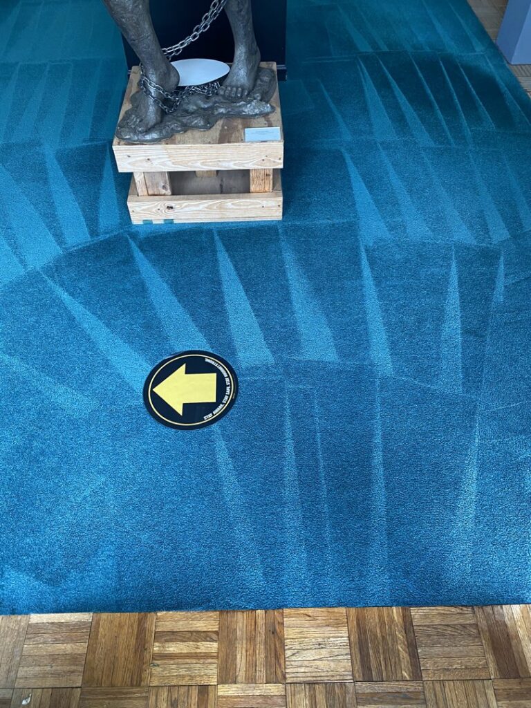 Cleaned blue carpet in an office or commercial space by M3 Cleaning Solutions, LLC in Montgomery, AL.