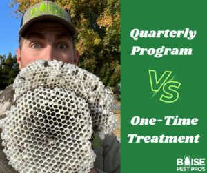 A Boise Pest Pros employee proudly holding a large wasp nest after successful removal in Boise, ID.