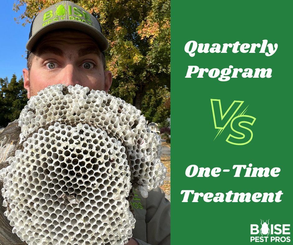 A Boise Pest Pros employee proudly holding a large wasp nest after successful removal in Boise, ID.
