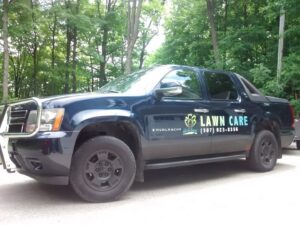 A branded Three Boys Lawncare truck, ready for service in Rochester, MN, parked on a residential street.