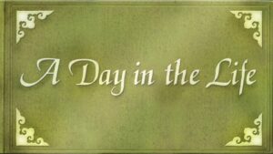 The bright interior of the rug showroom, showcasing various rugs at American Rug Laundry in Saint Paul, MN.