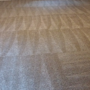 A clean brown carpet with visible cleaning lines after service by Extreme Carpet Cleaning Atlanta, GA.