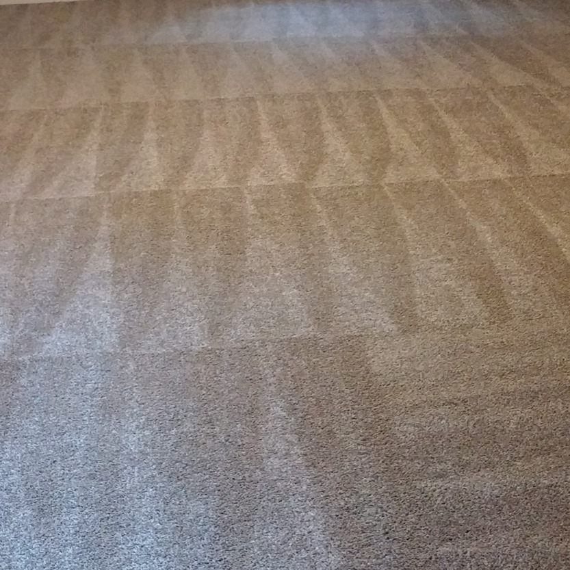 A clean brown carpet with visible cleaning lines after service by Extreme Carpet Cleaning Atlanta, GA.