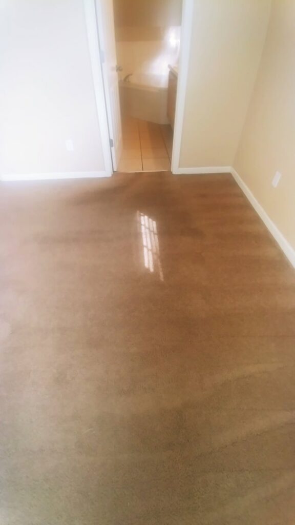 Brown carpet showing dirty and partially cleaned sections by All Steamed Up Carpet/Upholstery Cleaning in Havana, FL