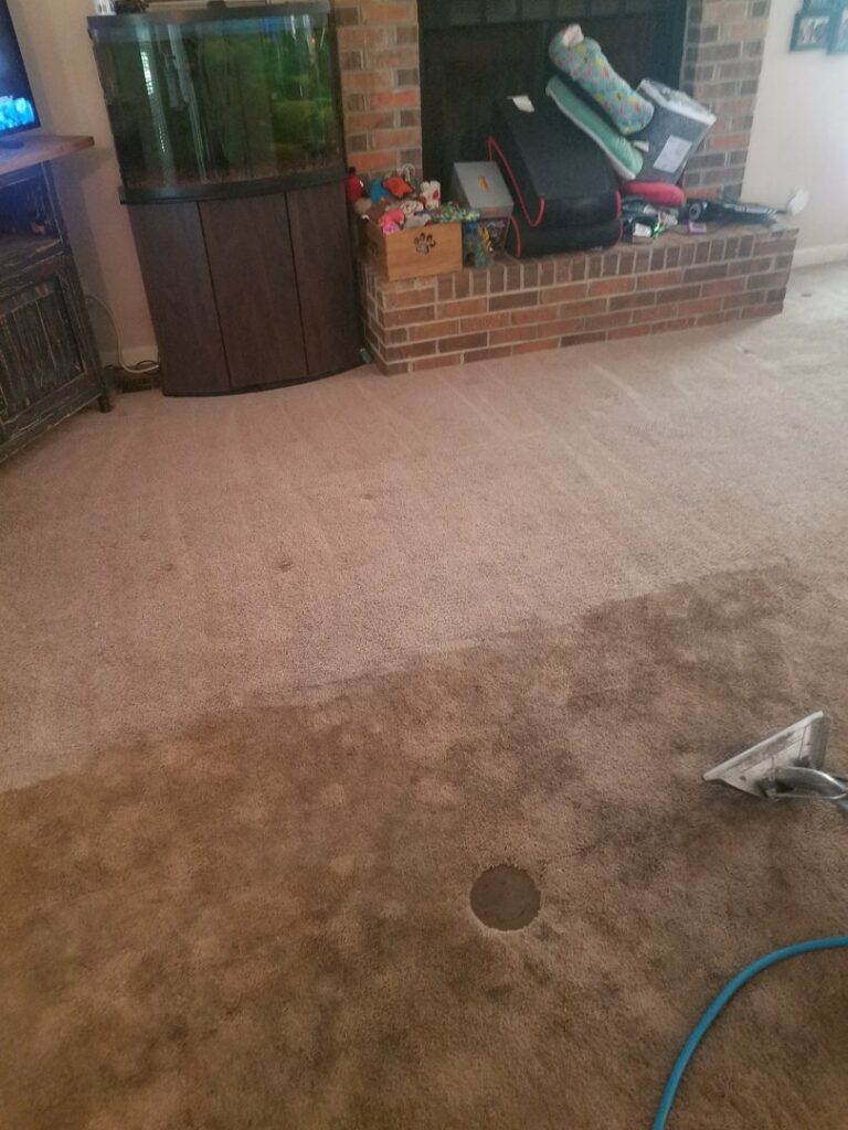 A brown carpet showing a clear before and after, half cleaned with a cleaning wand by Affordable carpet cleaning CO LLC in Montgomery, AL.