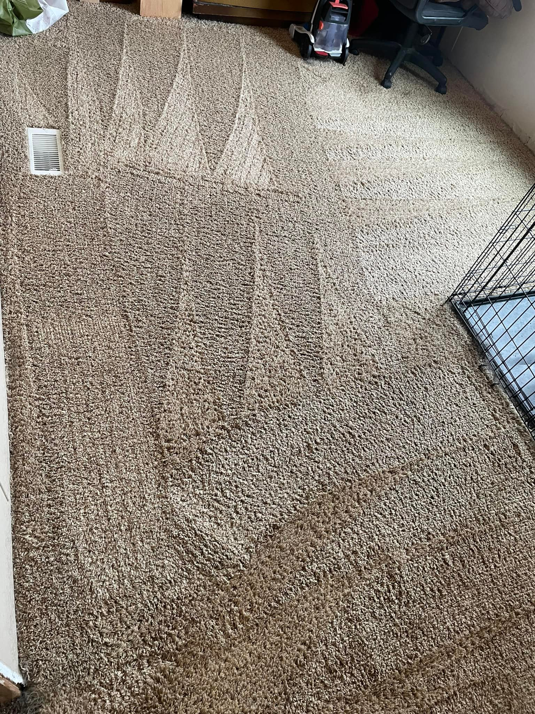 A brown carpet with distinct cleaning lines and a carpet cleaning machine in the background by Nick's Carpet Cleaning in Snohomish, WA.