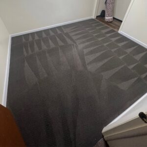 A brown carpet displaying clear cleaning lines after a professional service by Hill's Magic Carpet Cleaning in Colorado Springs, CO.