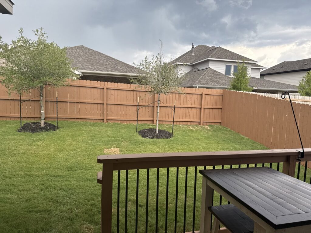 A brown-stained wood privacy fence installed in a residential backyard by Liberty Fence & Stain in San Antonio, TX.