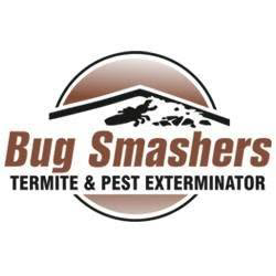 Bug Smashers Exterminating